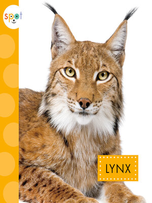 cover image of Lynx